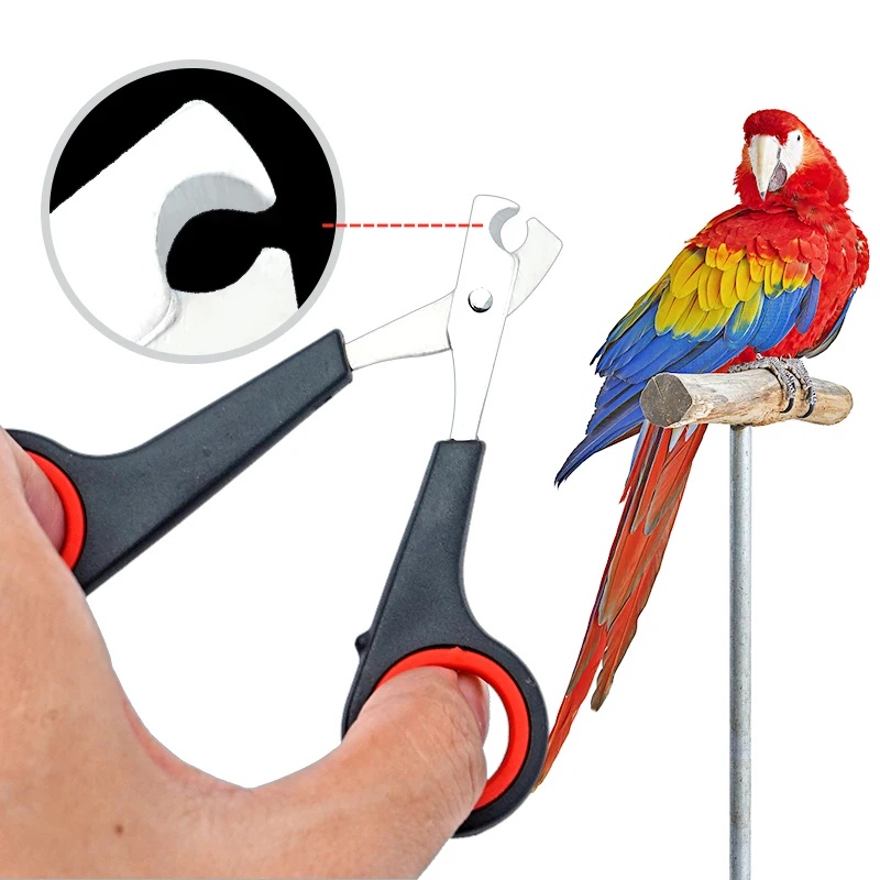 Grooming Scissors - 12cm Nagelschaar voor Huisdieren, Papegaai, Hond,
