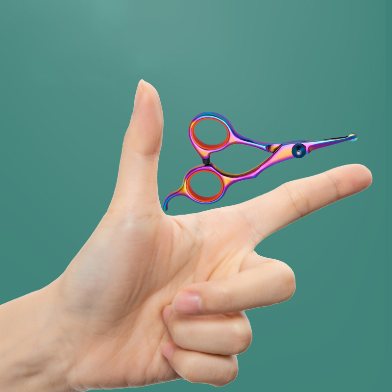 Veiligheid Ronde Kop Rvs Huisd - Grooming Scissors recensie en prijs
