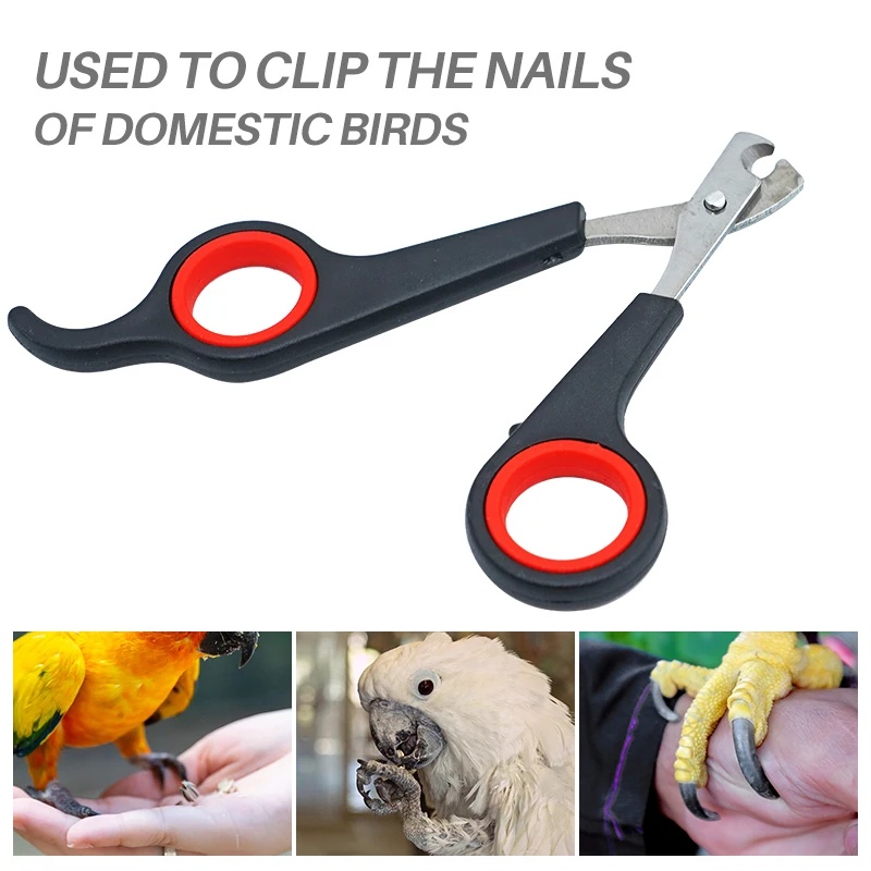 12cm Nagelschaar voor Huisdier - Grooming Scissors recensie en prijs